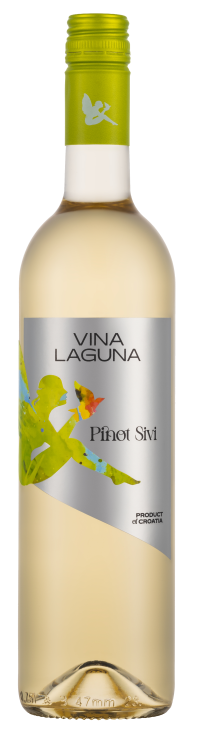Pinot sivi